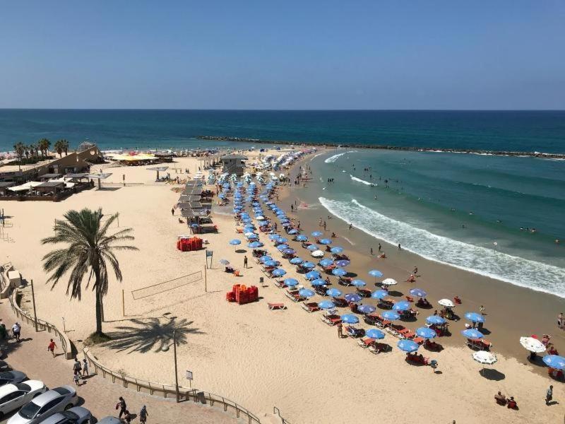 Romy Suites Deluxe نتانيا المظهر الخارجي الصورة